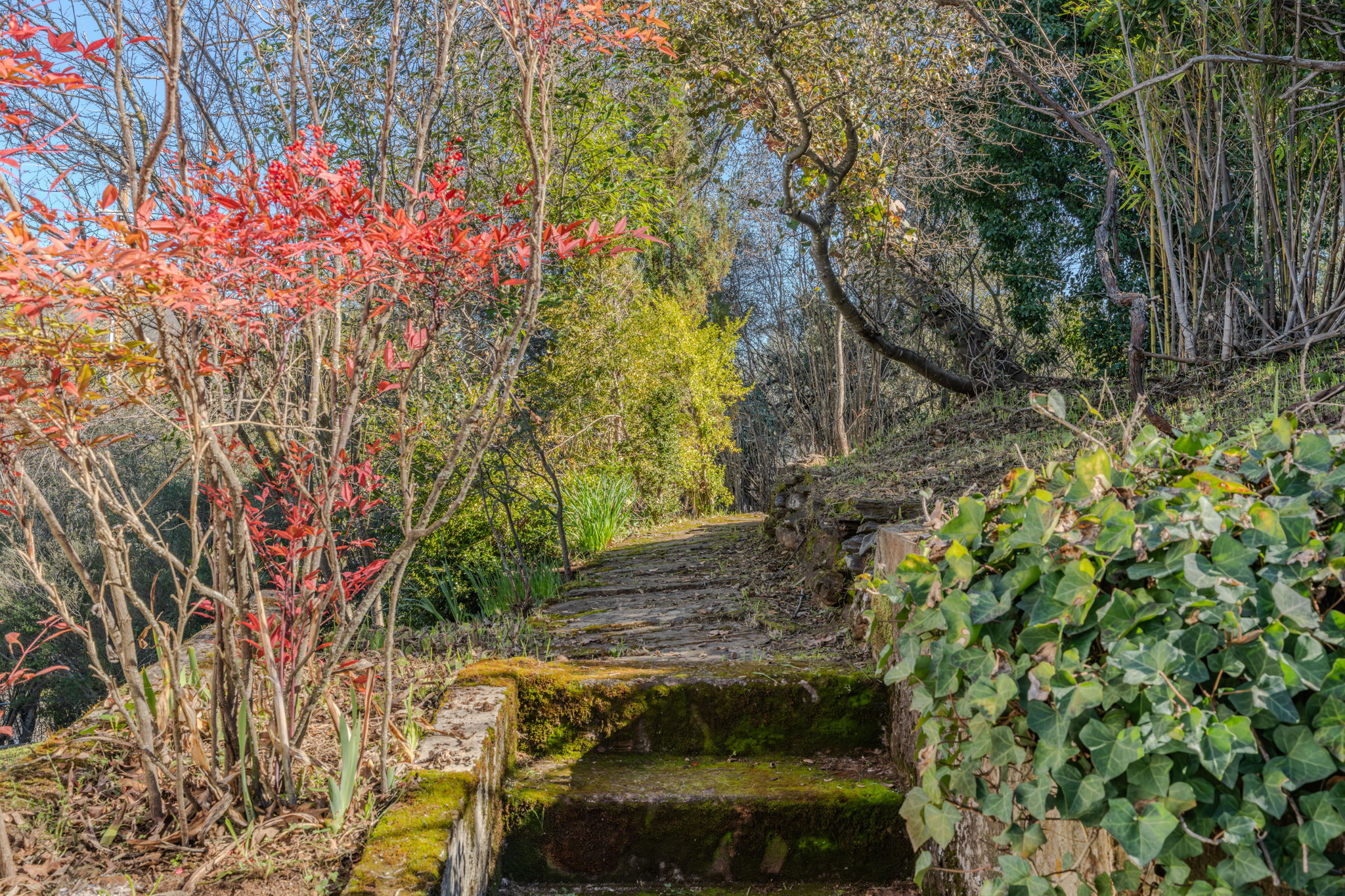  where  historic amador city living meets easy, everyday comfort - 物件實景