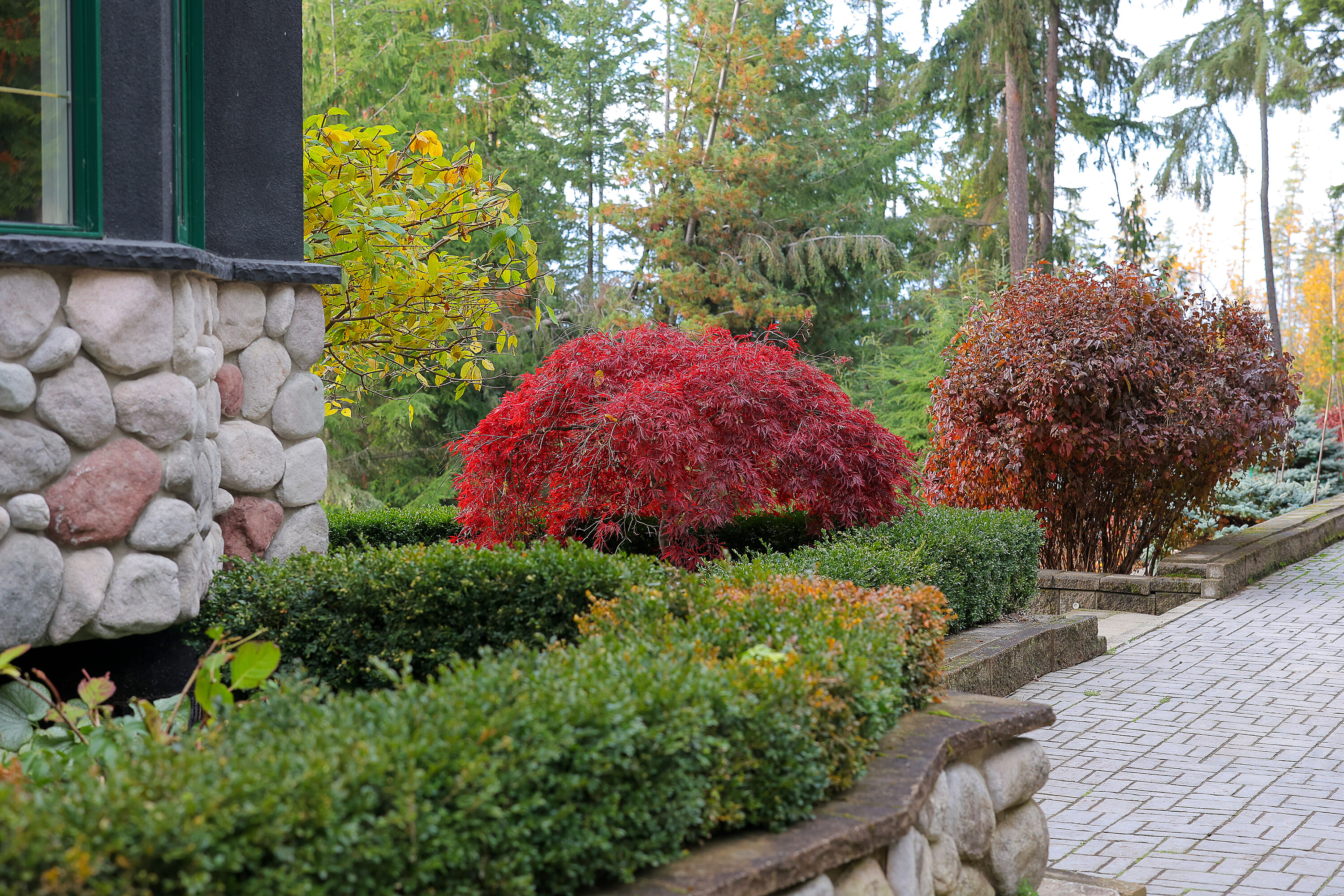  Nakusp Waterfront Estate - 物件實景