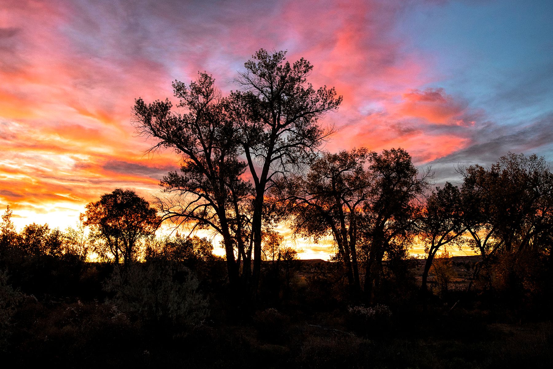  Wind River Ranch - 物件實景