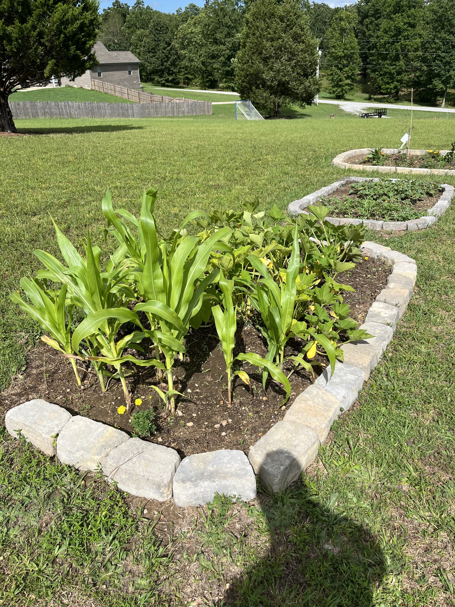 Summertown, Tennessee, 38483, United States, 3 Bedrooms Bedrooms, ,3 BathroomsBathrooms,Residential,For Sale,1970557