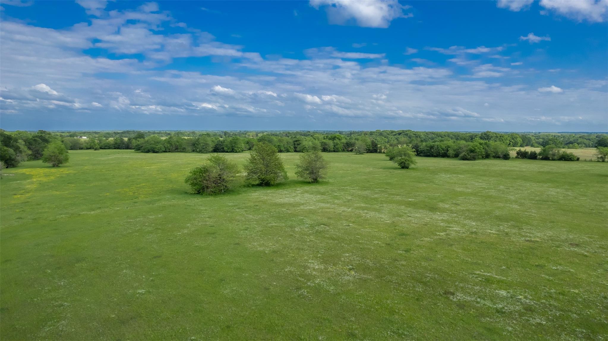 Commerce, Texas, 75428, United States, ,Residential,For Sale,1810631
