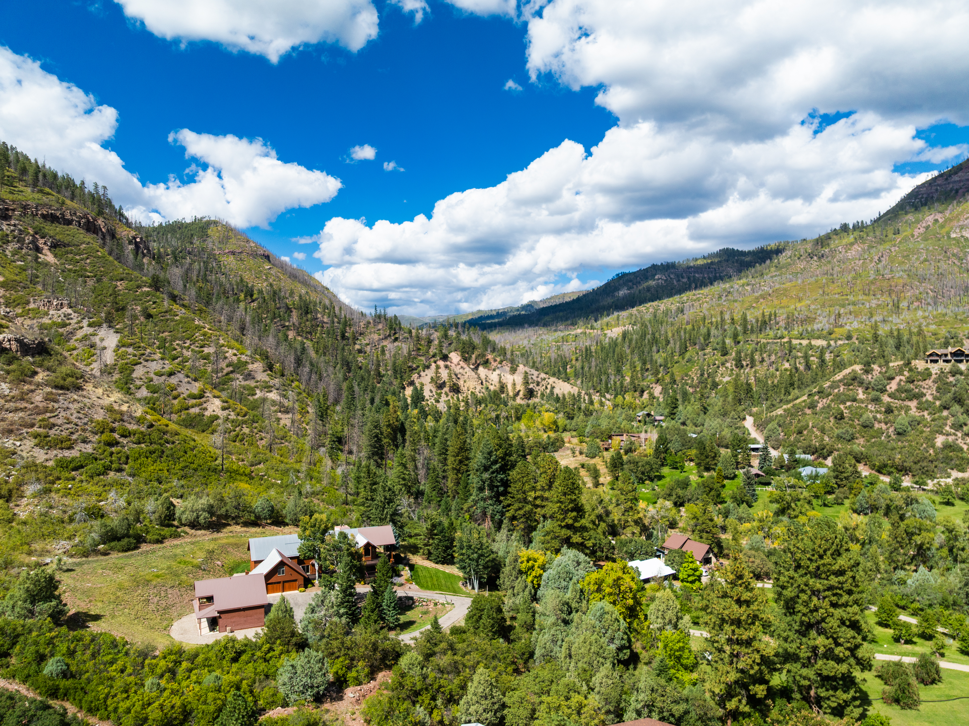  668 County Road 202, Durango, CO 81301 - 物件實景