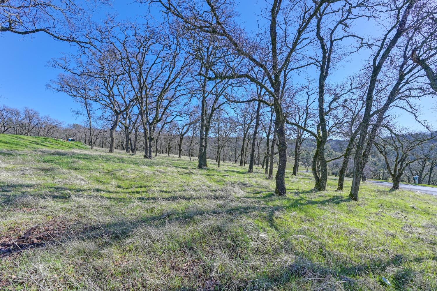 El Dorado Hills, California, 95762, United States, ,Land,For Sale,1709053