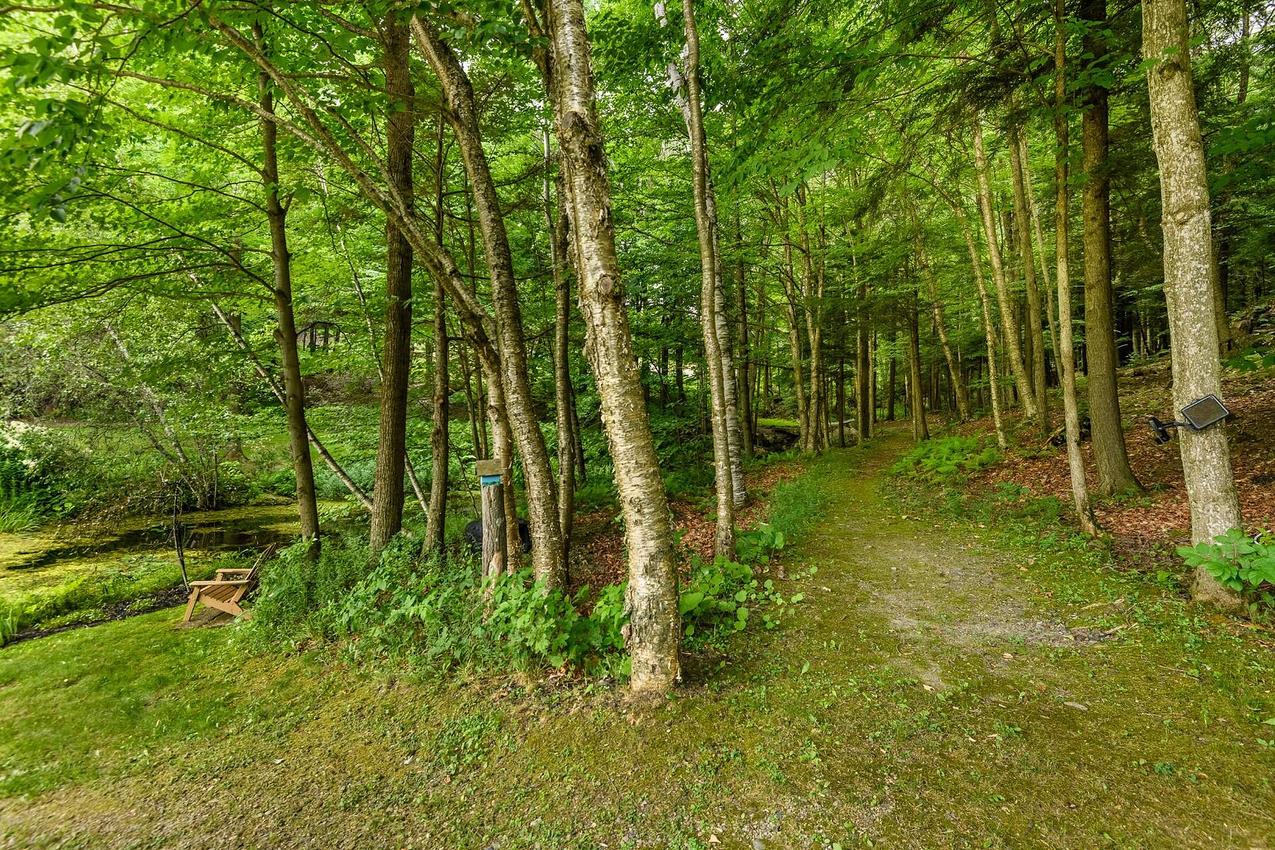  Bromont, Eastern Townships - 物件實景