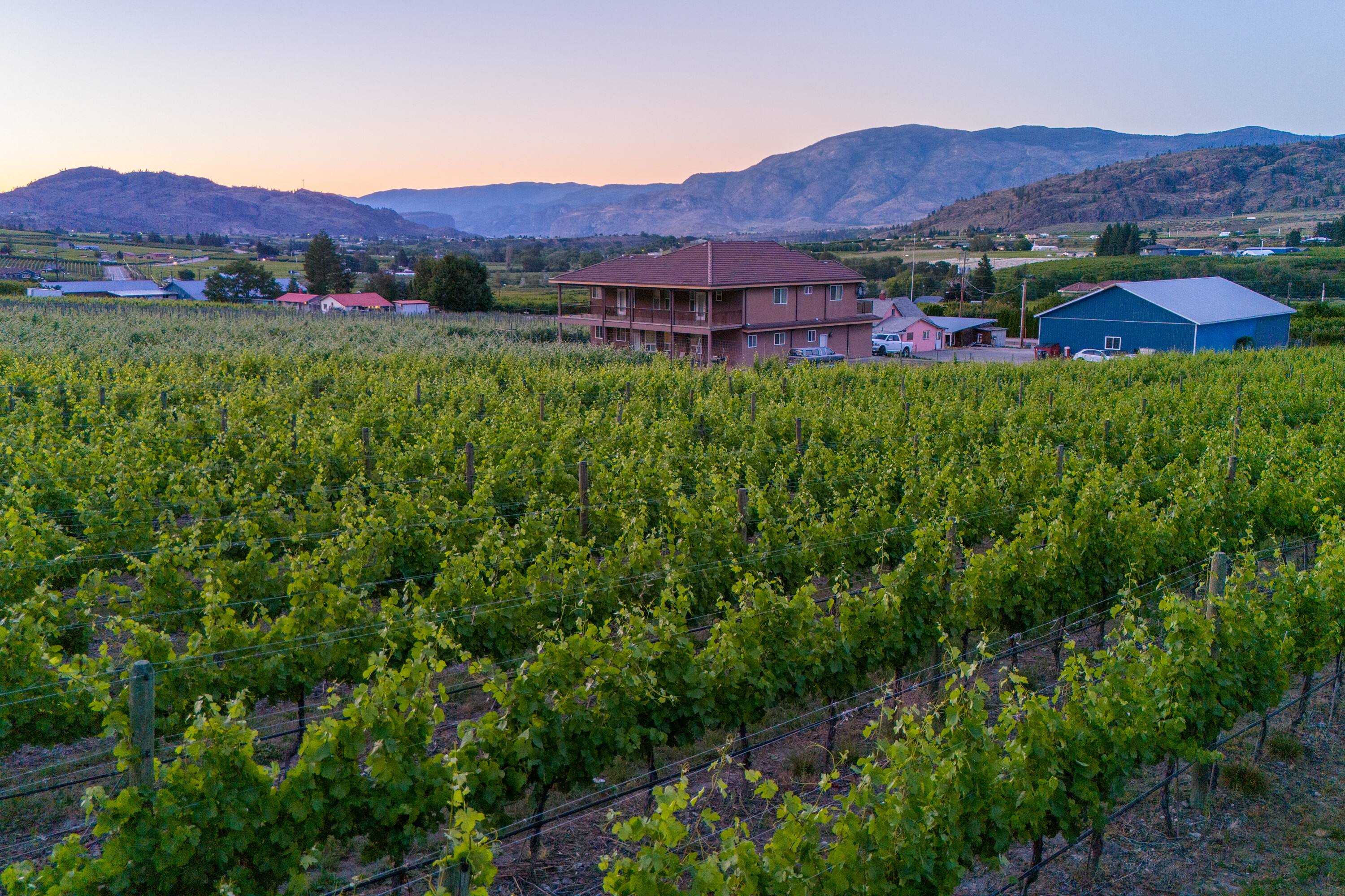  Vineyard Estate Receivership - 物件實景