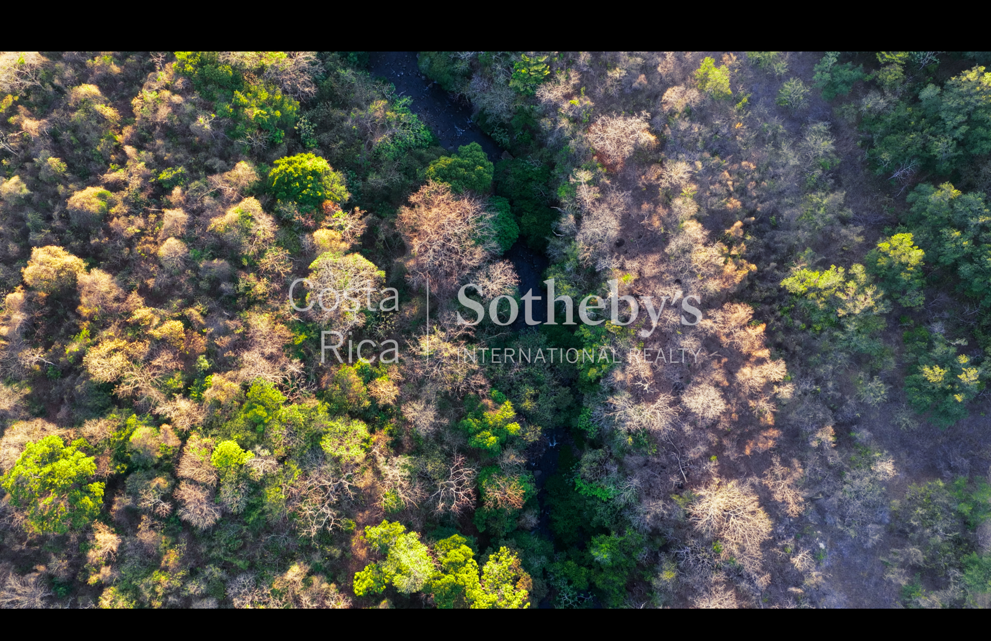  Curubande River Forest Treasure - 物件實景