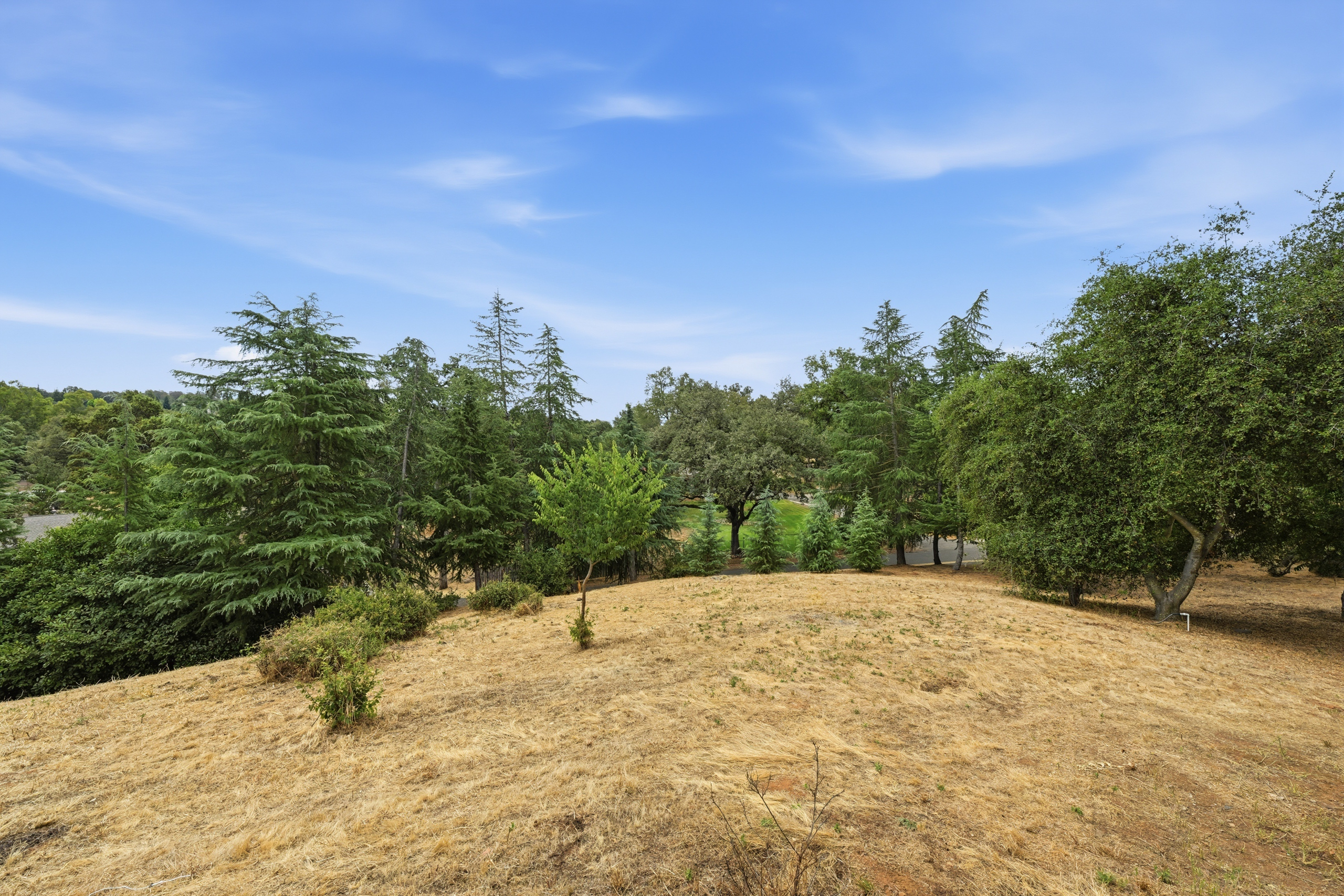  1361 Oak Creek Court, El Dorado Hills, CA 95762 - 物件實景
