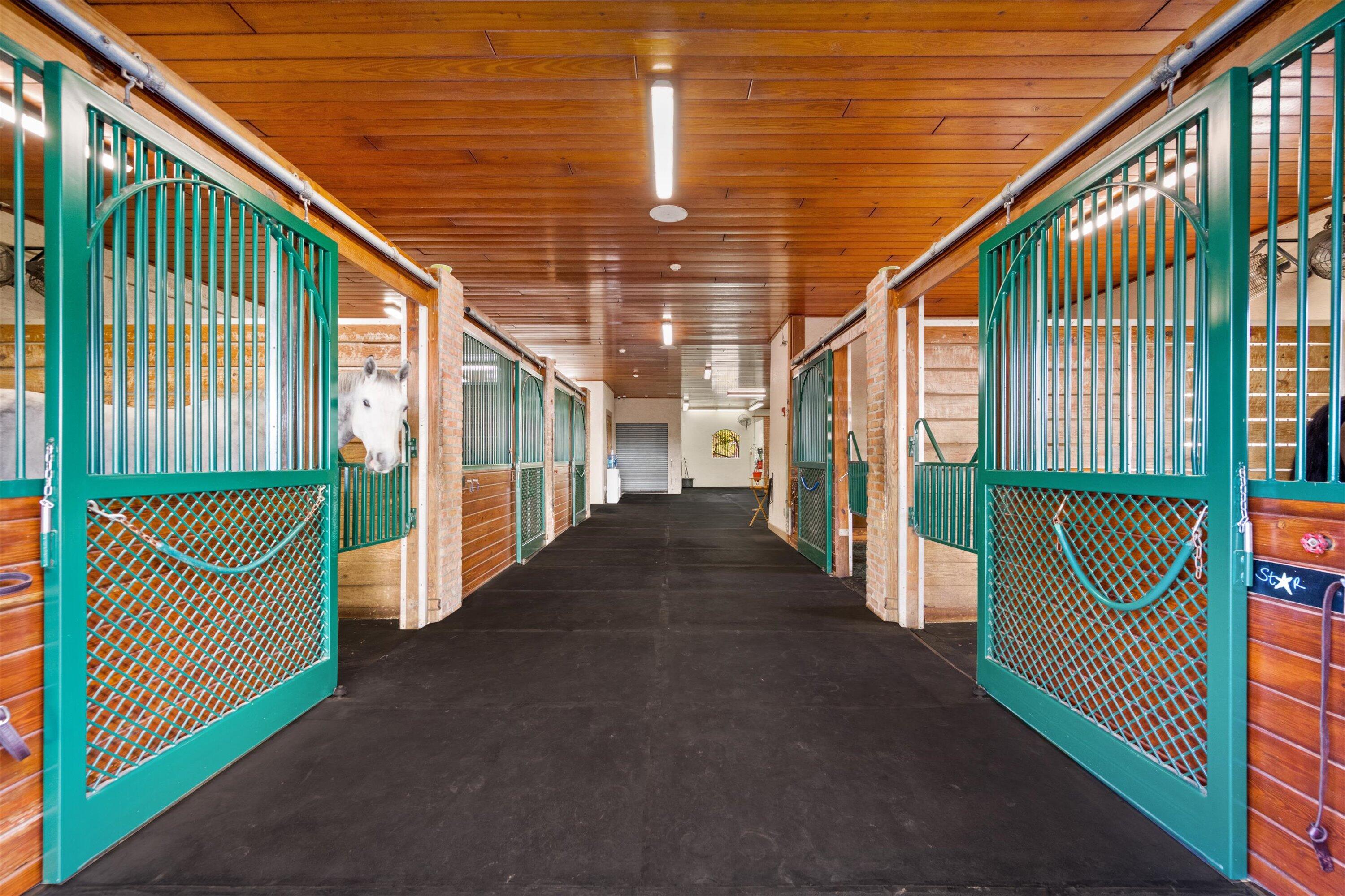  3509 Grand Prix Farms Drive - 物件實景