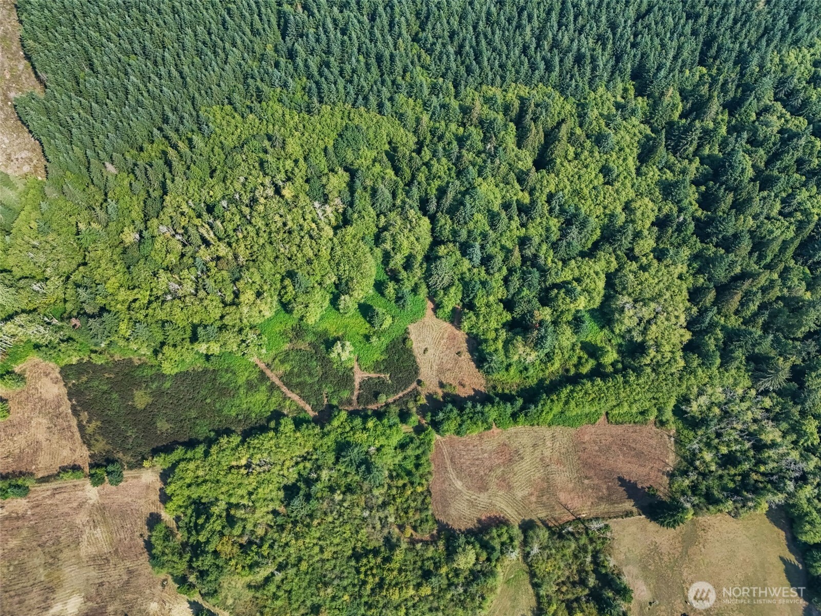 Onalaska, Washington, 98570, United States, ,Land,For Sale,1994245