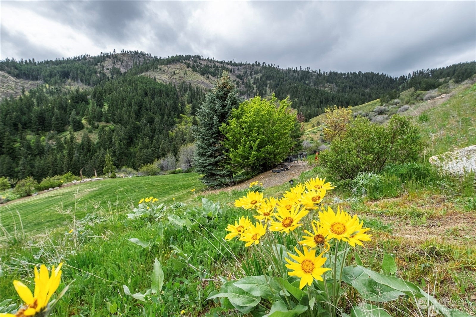 9505 Plateau Road, Cashmere, Washington, 98815, United States, 4 Bedrooms Bedrooms, ,3 BathroomsBathrooms,Residential,For Sale,9505 Plateau Road,1611849