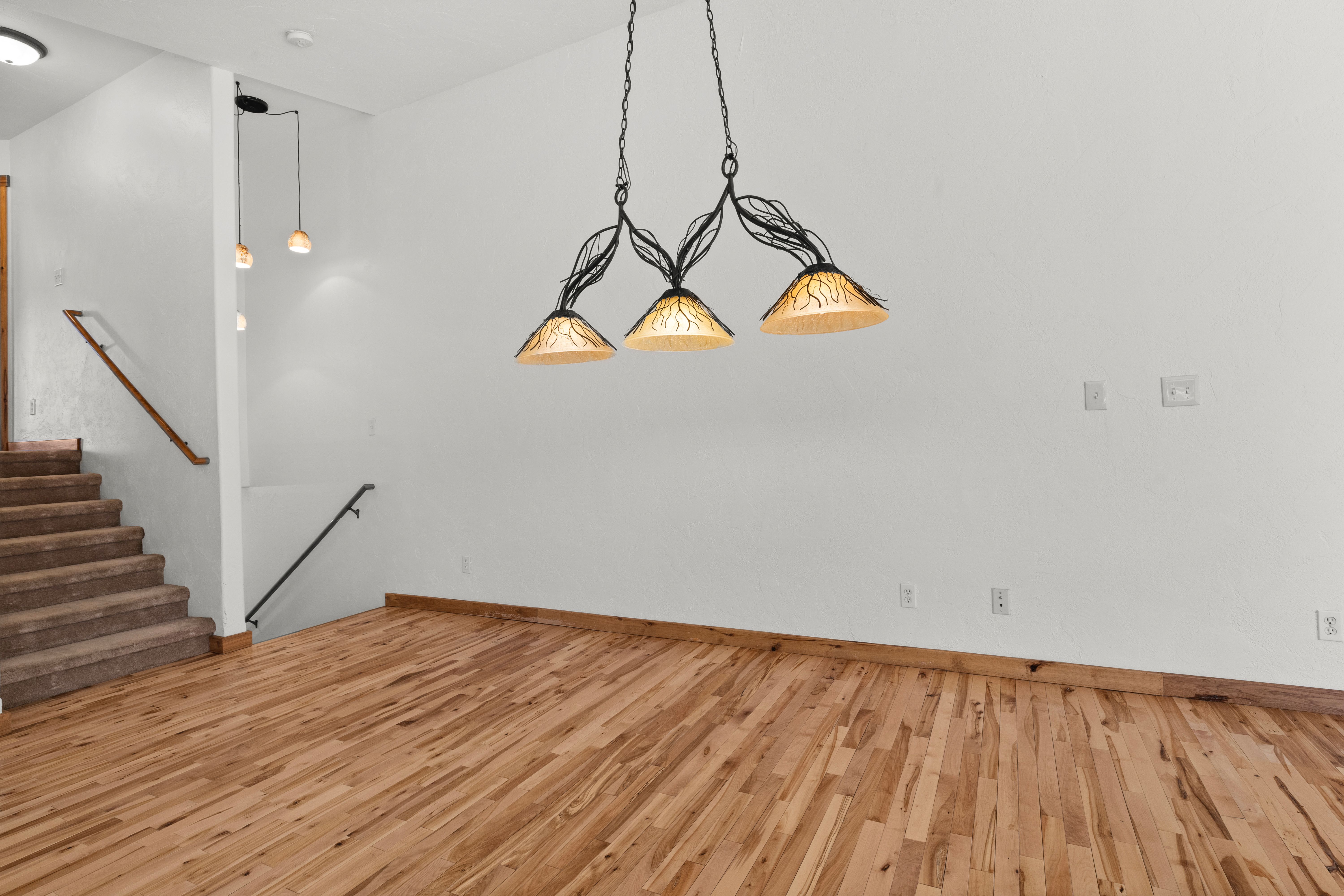  1090 Longview Circle, Steamboat Springs, CO 80487 - 物件實景