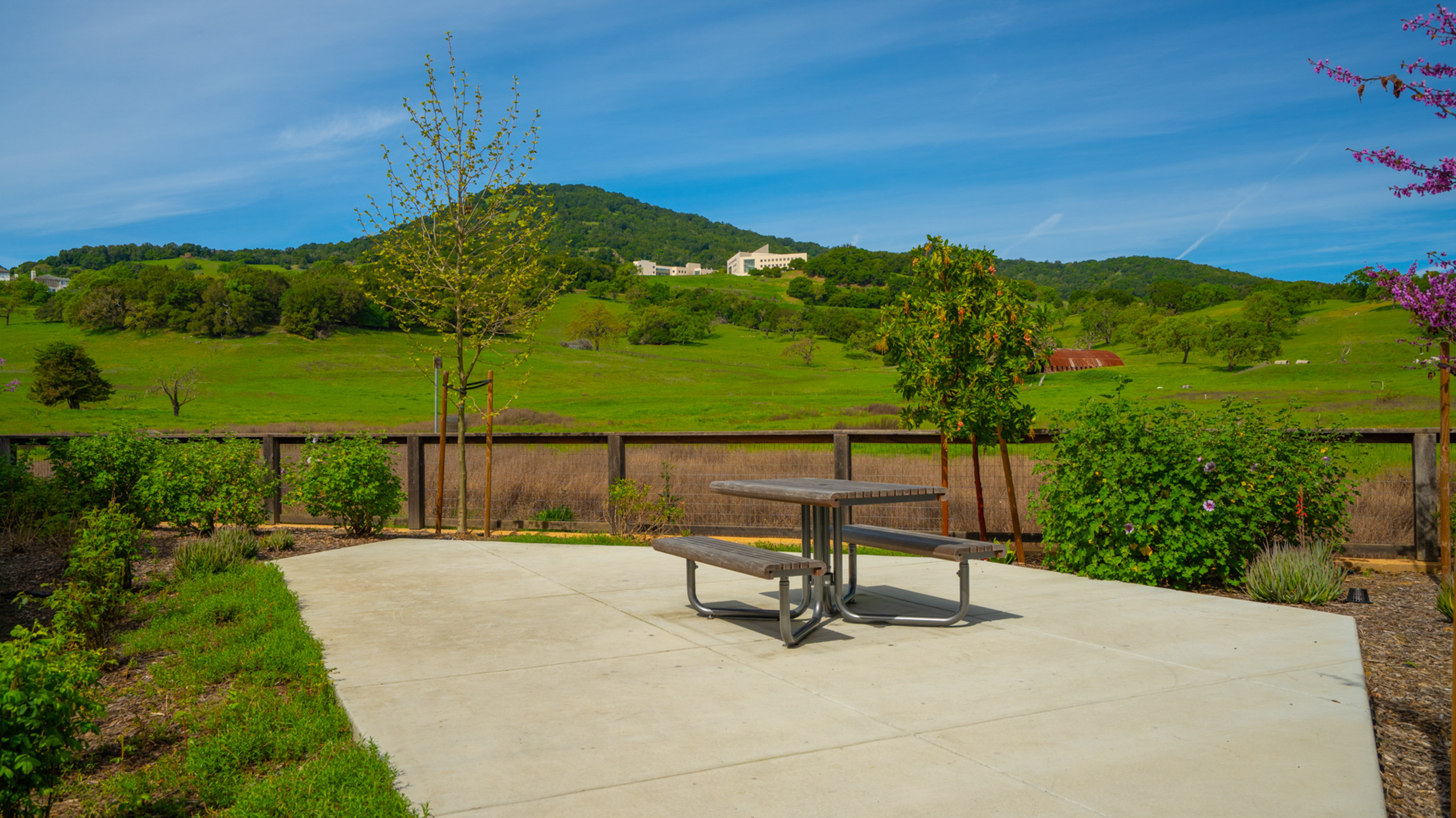  Modern Townhome in Novato - 物件實景