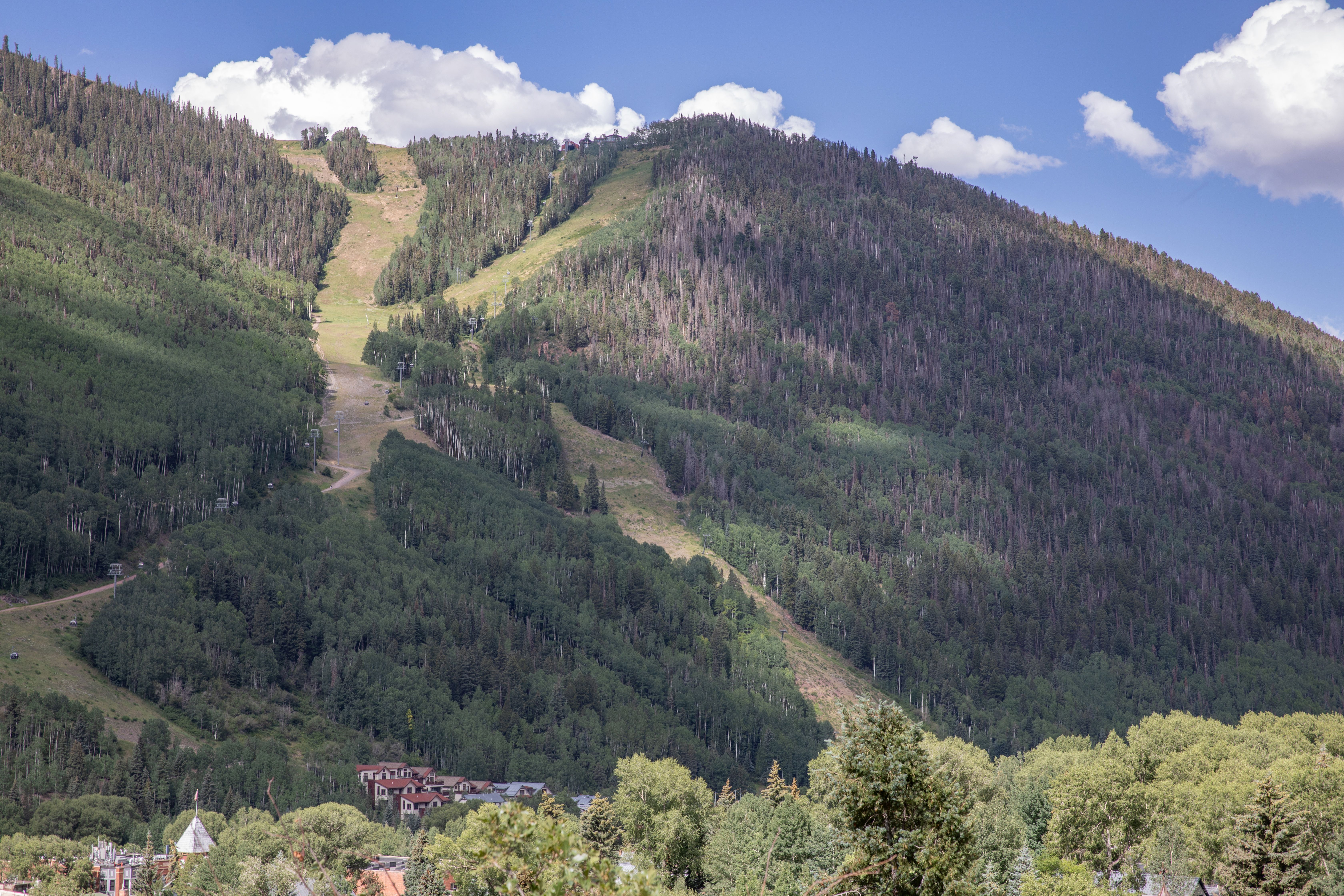  Spectacular Homesite with Panoramic Views of Telluride Ski Resort - 物件實景