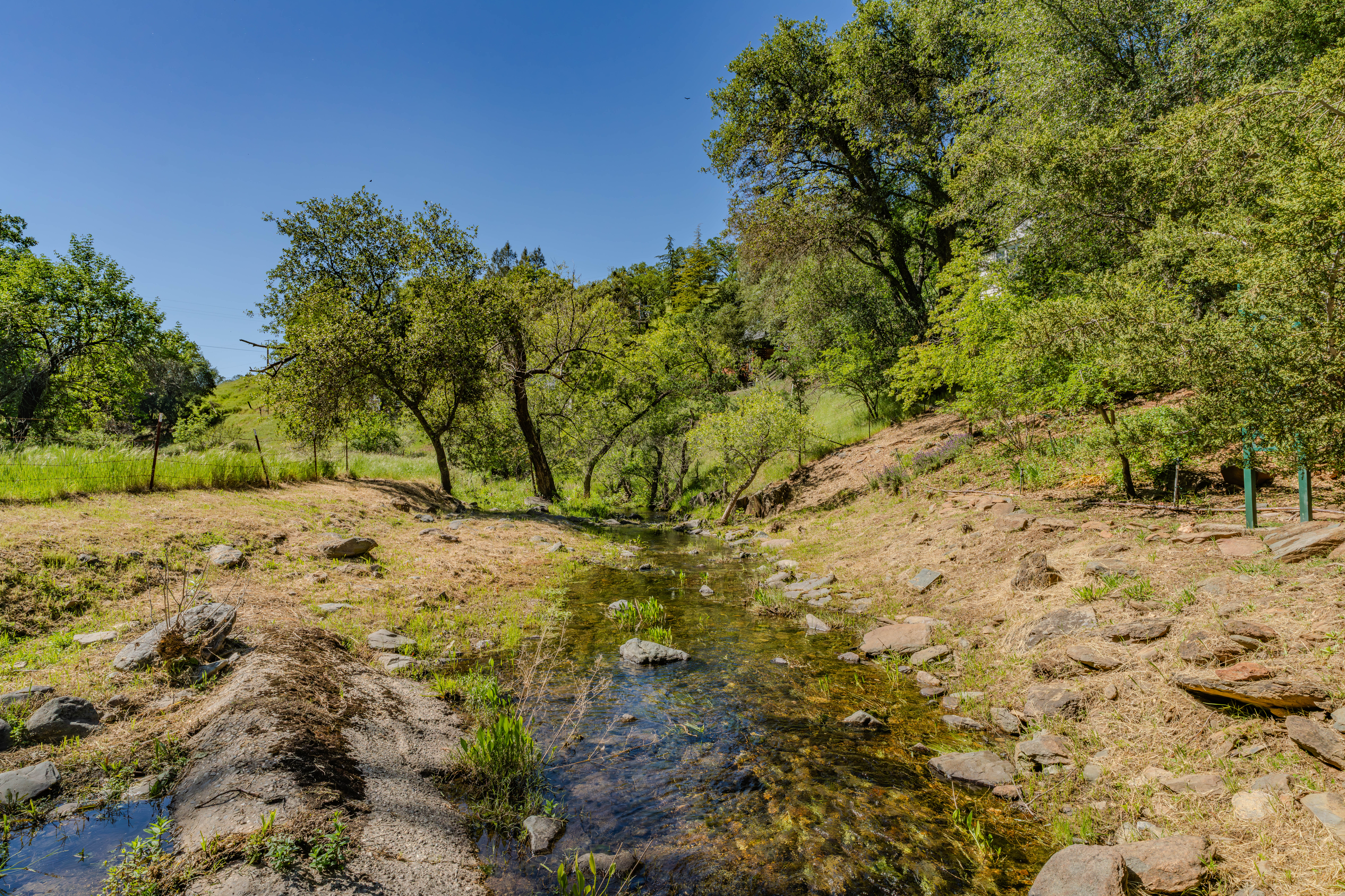  11030 Amador Creek Road, Amador City, CA 95601 - 物件實景