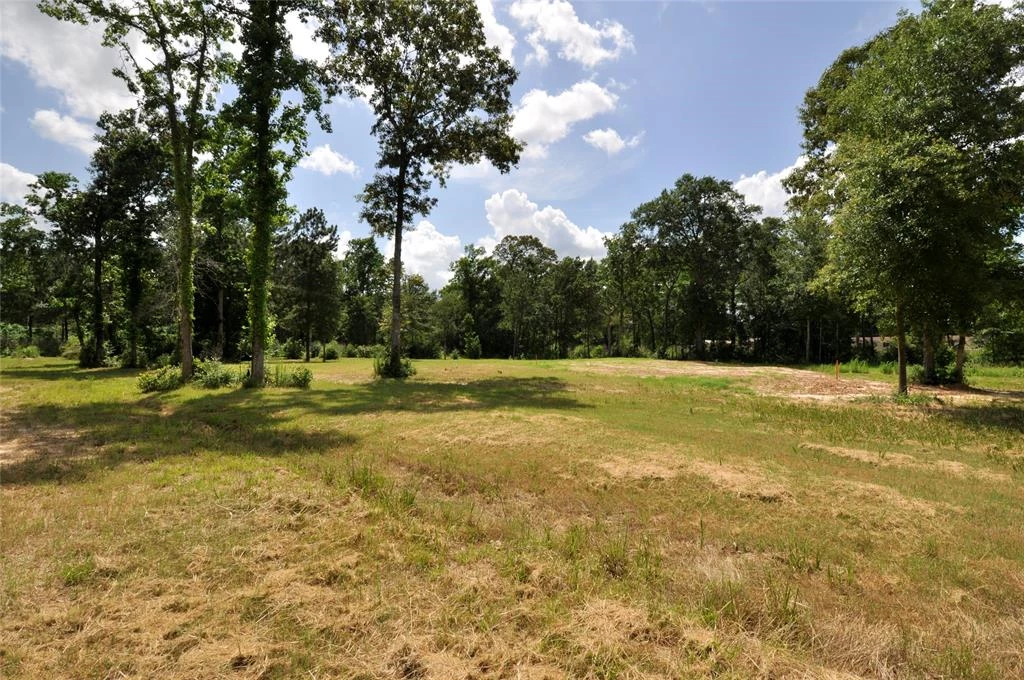 26150 Grand Pines Road, Magnolia, Texas, 77355, United States, ,Land,For Sale,26150 Grand Pines Road,1609479