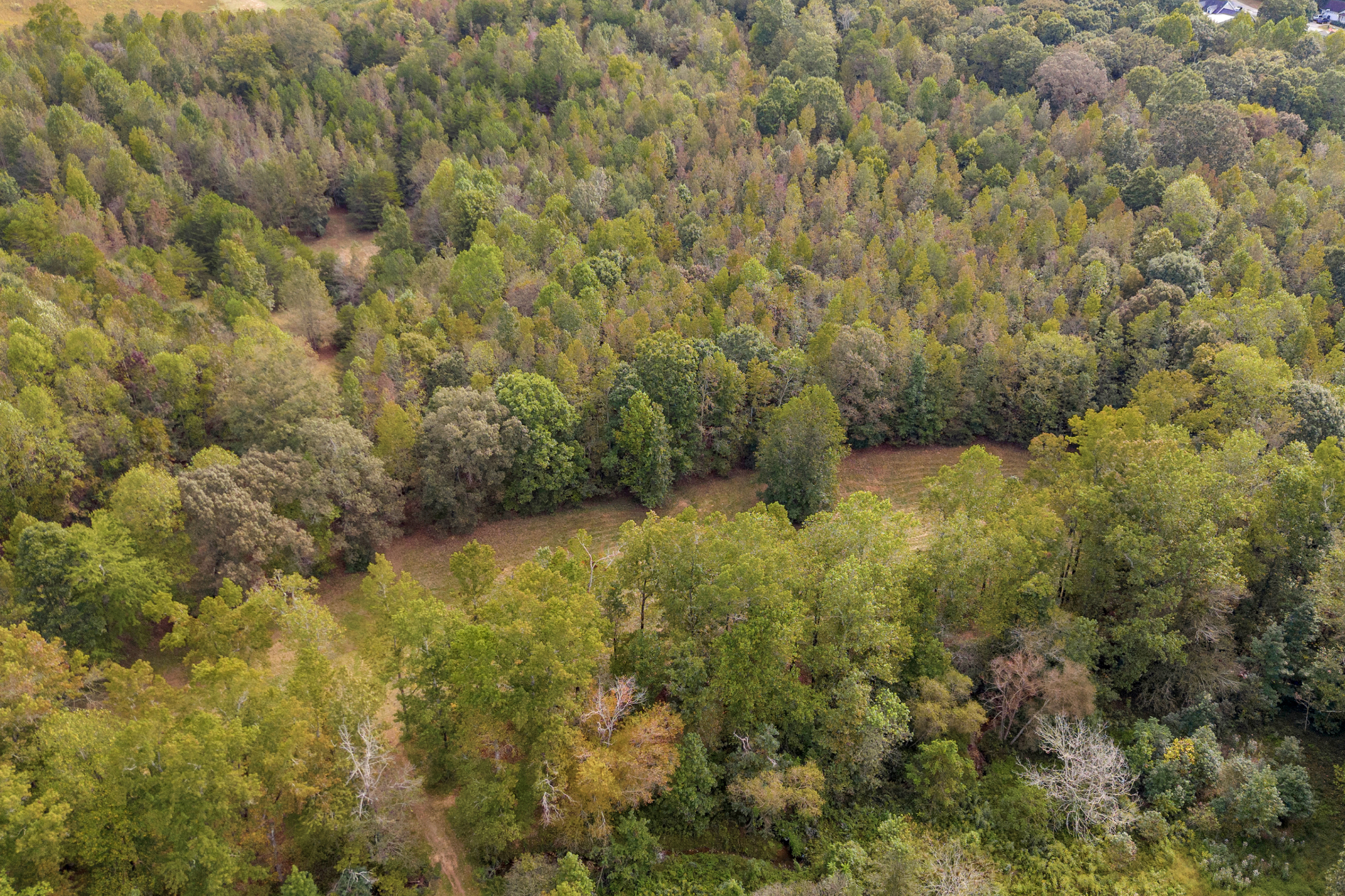 Cleveland, Georgia, 30528, United States, 3 Bedrooms Bedrooms, ,2 BathroomsBathrooms,Residential,For Sale,1979350