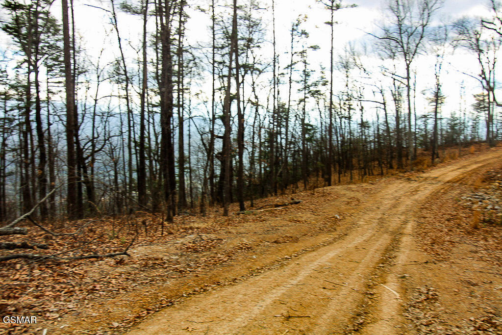Sevierville, Tennessee, 37876, United States, ,Land,For Sale,2008093