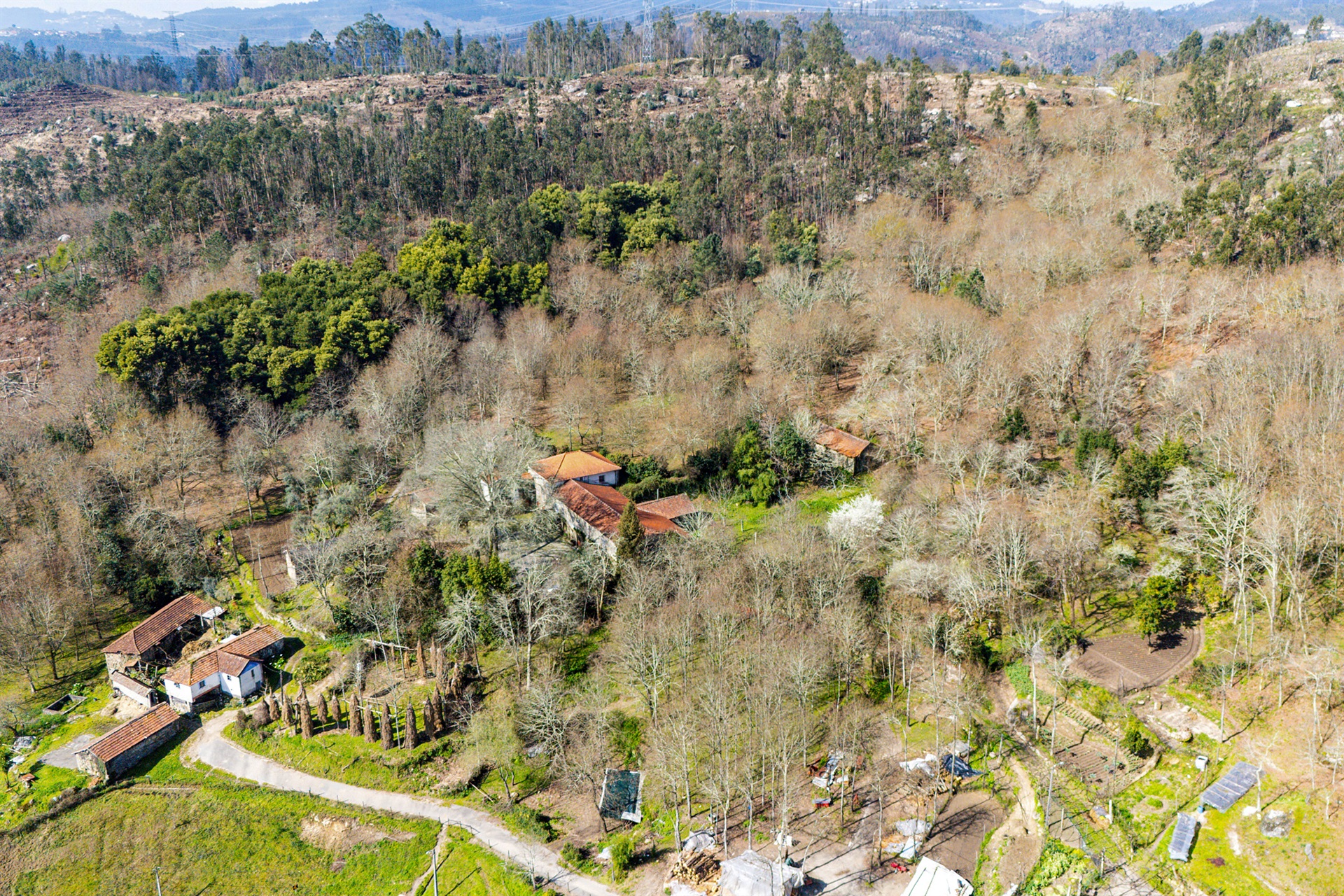 Farm for Sale - 物件實景