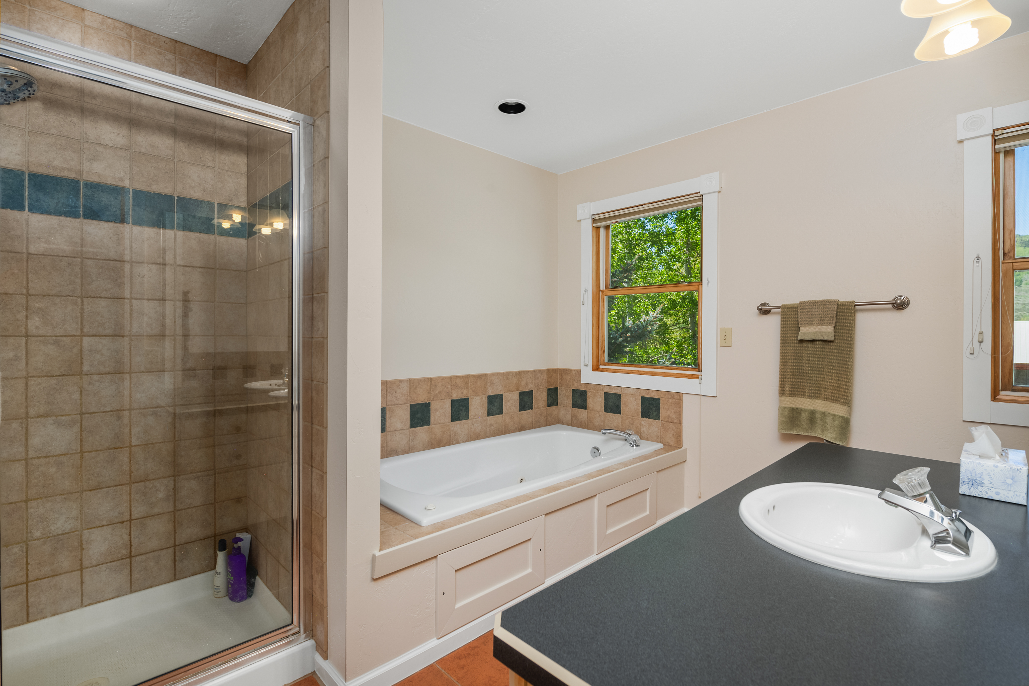  Exceptional Outdoor Living in Crested Butte South - 物件實景