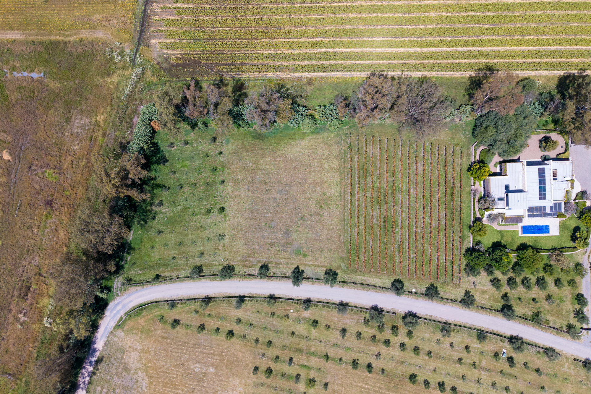  San Francisco Vineyards Lot 1 - 物件實景