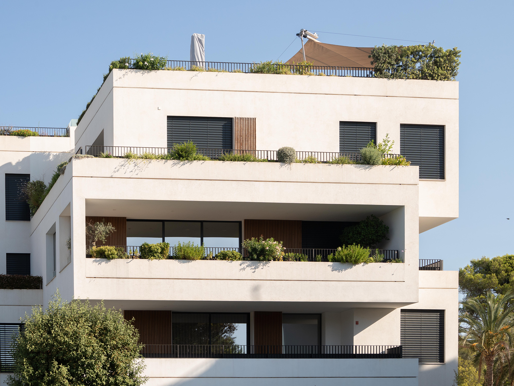  Apartment with pool and terrace in Santa Ponsa, Mallorca - 物件實景