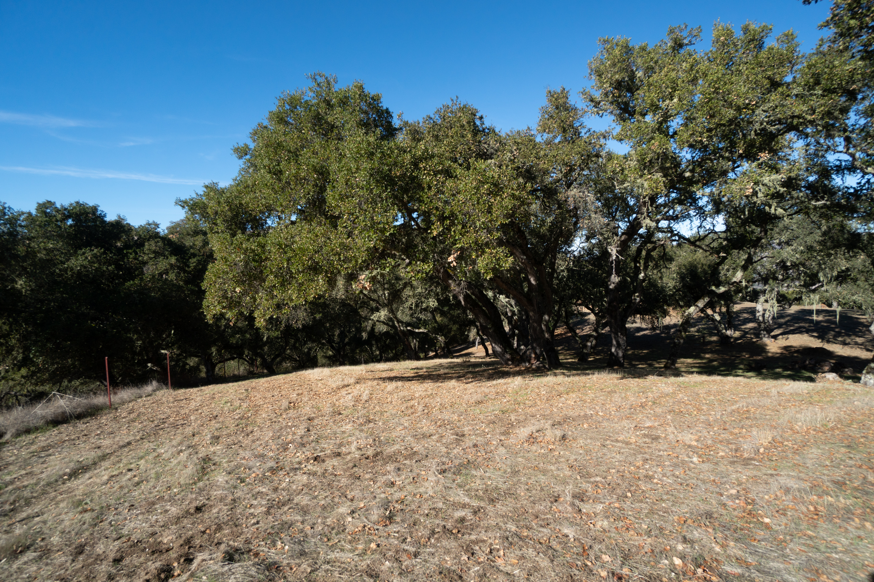  17114 Cachagua Road - 物件實景