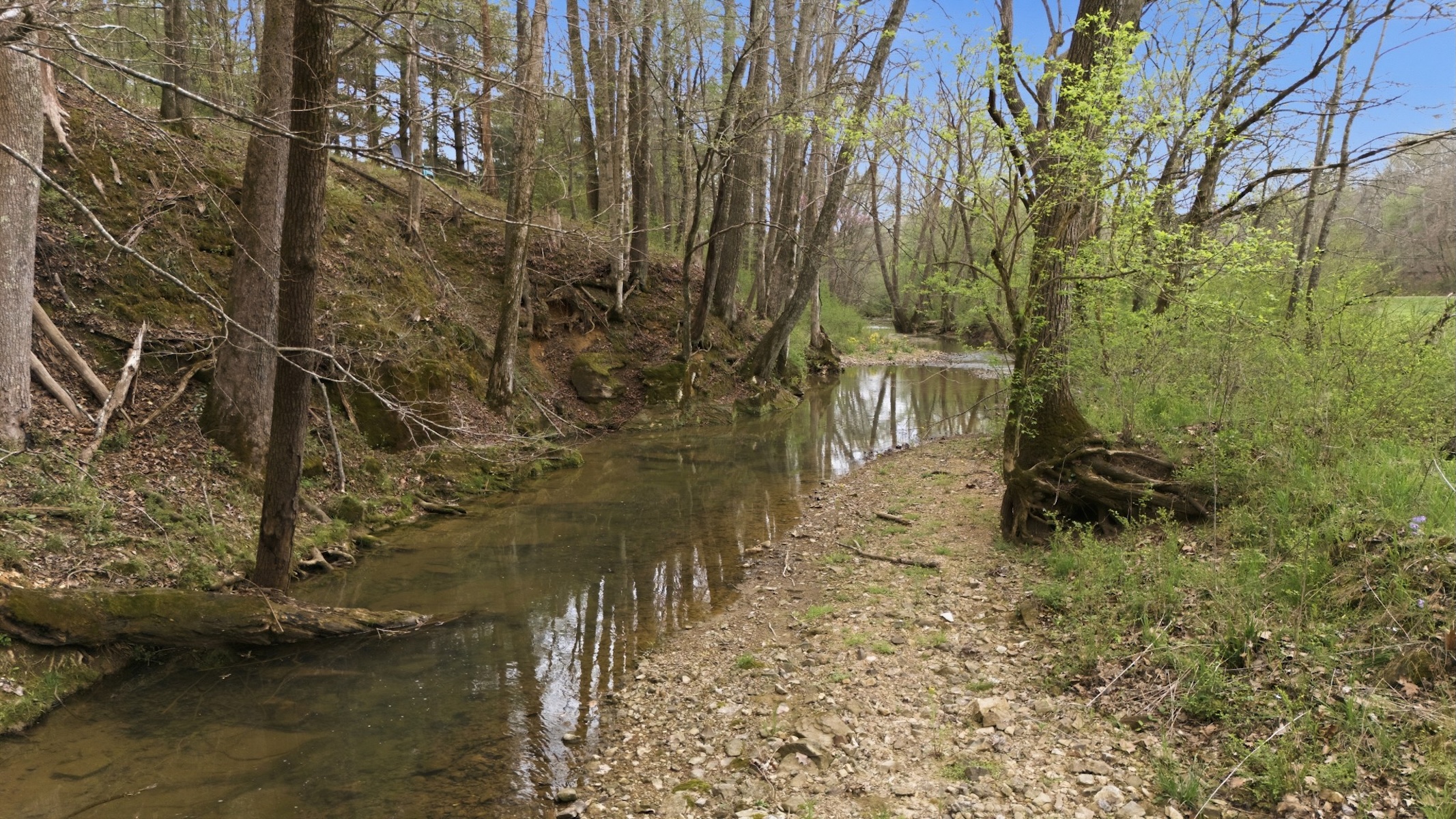  293 E Piney Rd, Dickson, TN, 37055 - 物件實景