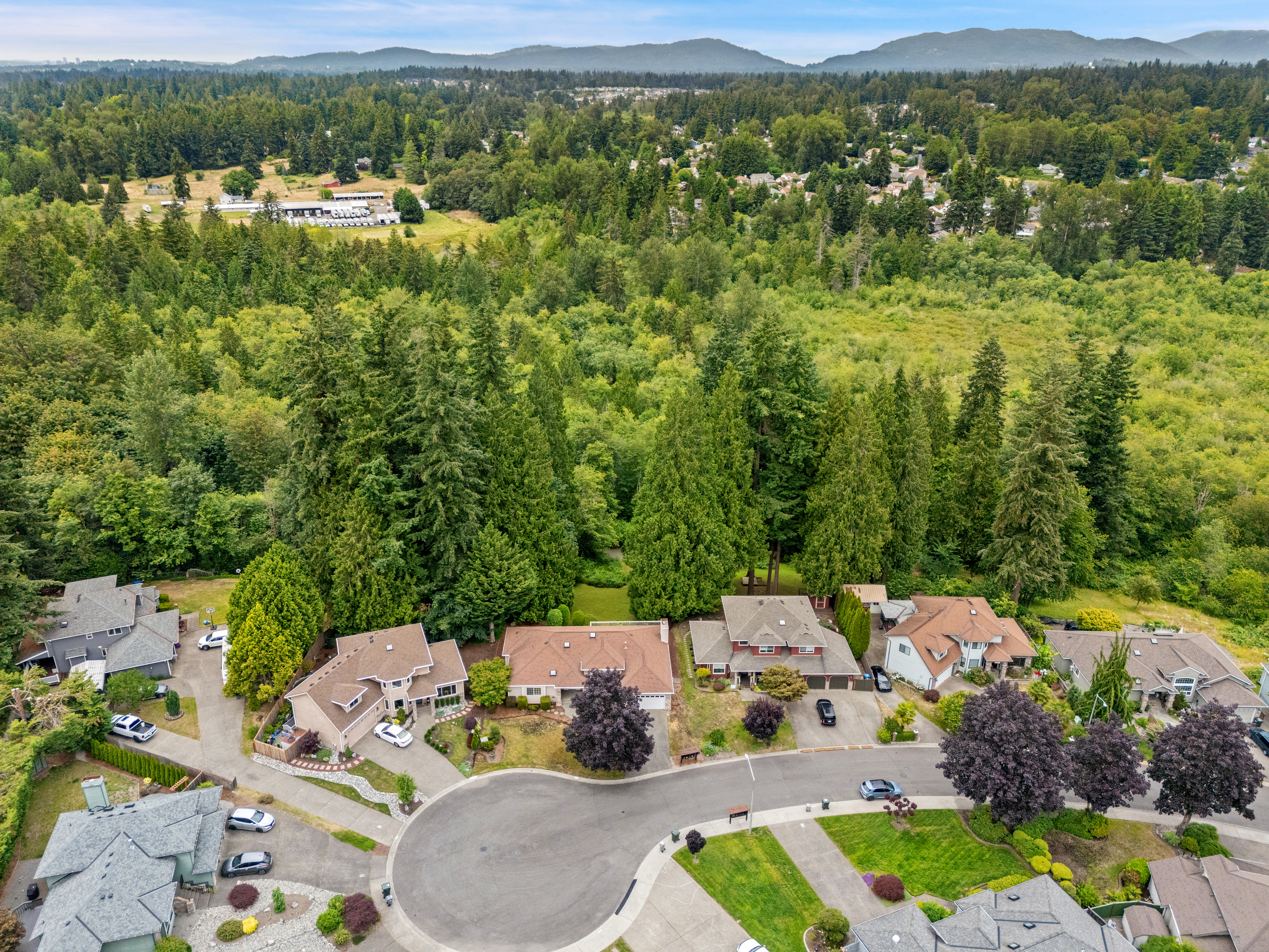  20312 131st Place SE, Kent, WA 98031 - 物件實景