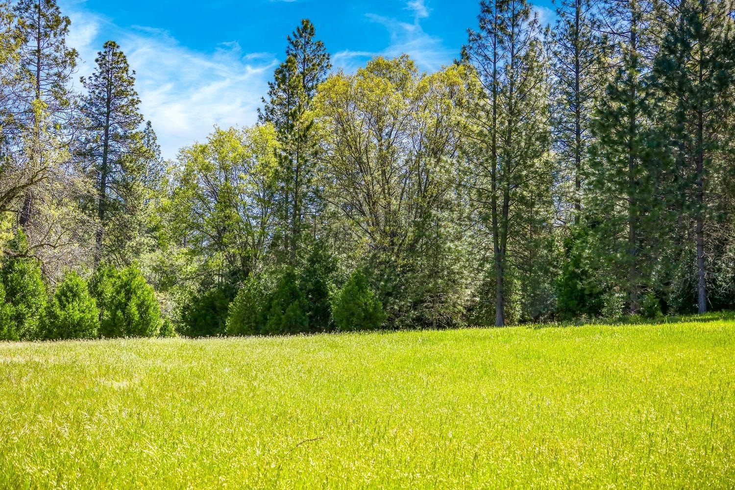 Mountain Ranch, California, 95246, United States, 1 Bedroom Bedrooms, ,1 BathroomBathrooms,Residential,For Sale,1921601