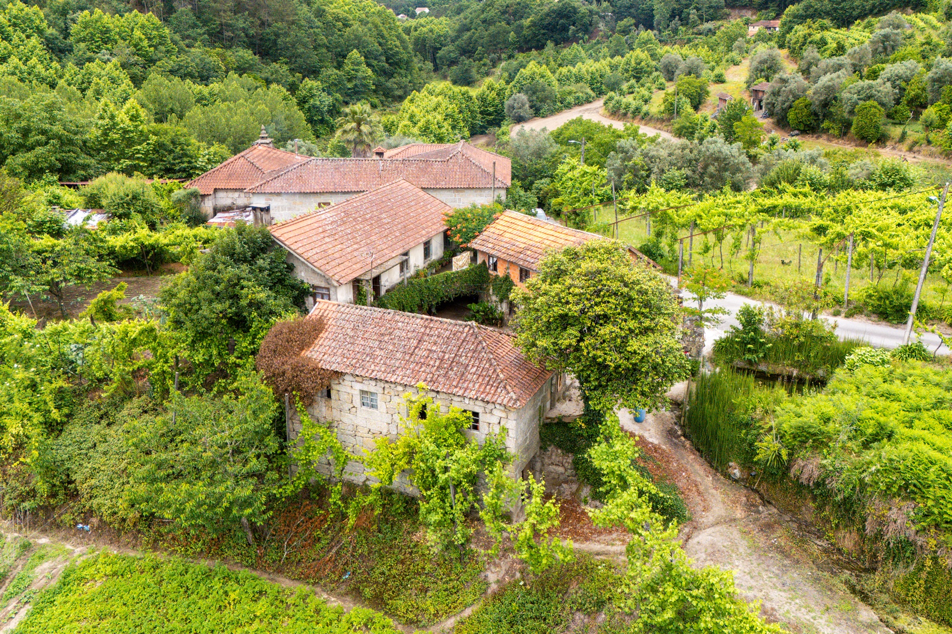  Farm, 3 bedrooms, for Sale - 物件實景