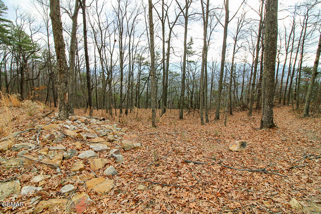 Sevierville, Tennessee, 37876, United States, ,Land,For Sale,2008093