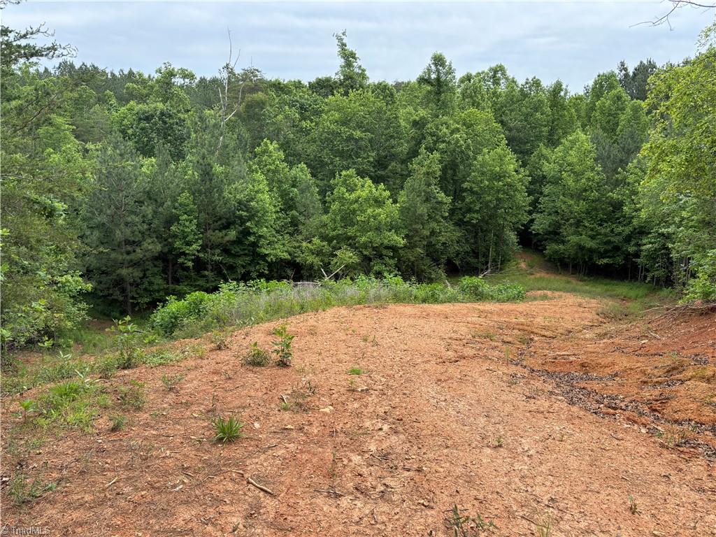 Pinnacle, North Carolina, 27043, United States, ,Land,For Sale,1829534