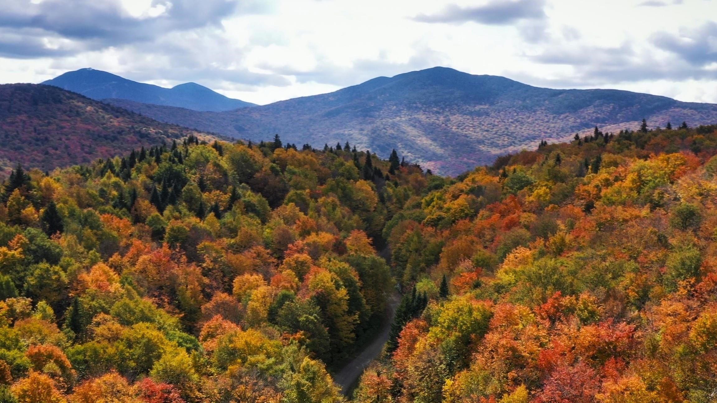 Jay, Vermont, 05859, United States, ,Land,For Sale,1999221
