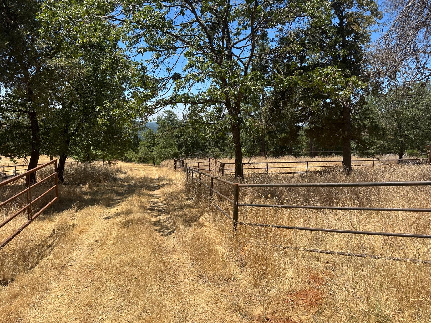 Georgetown, California, 95634, United States, ,Residential,For Sale,1943393