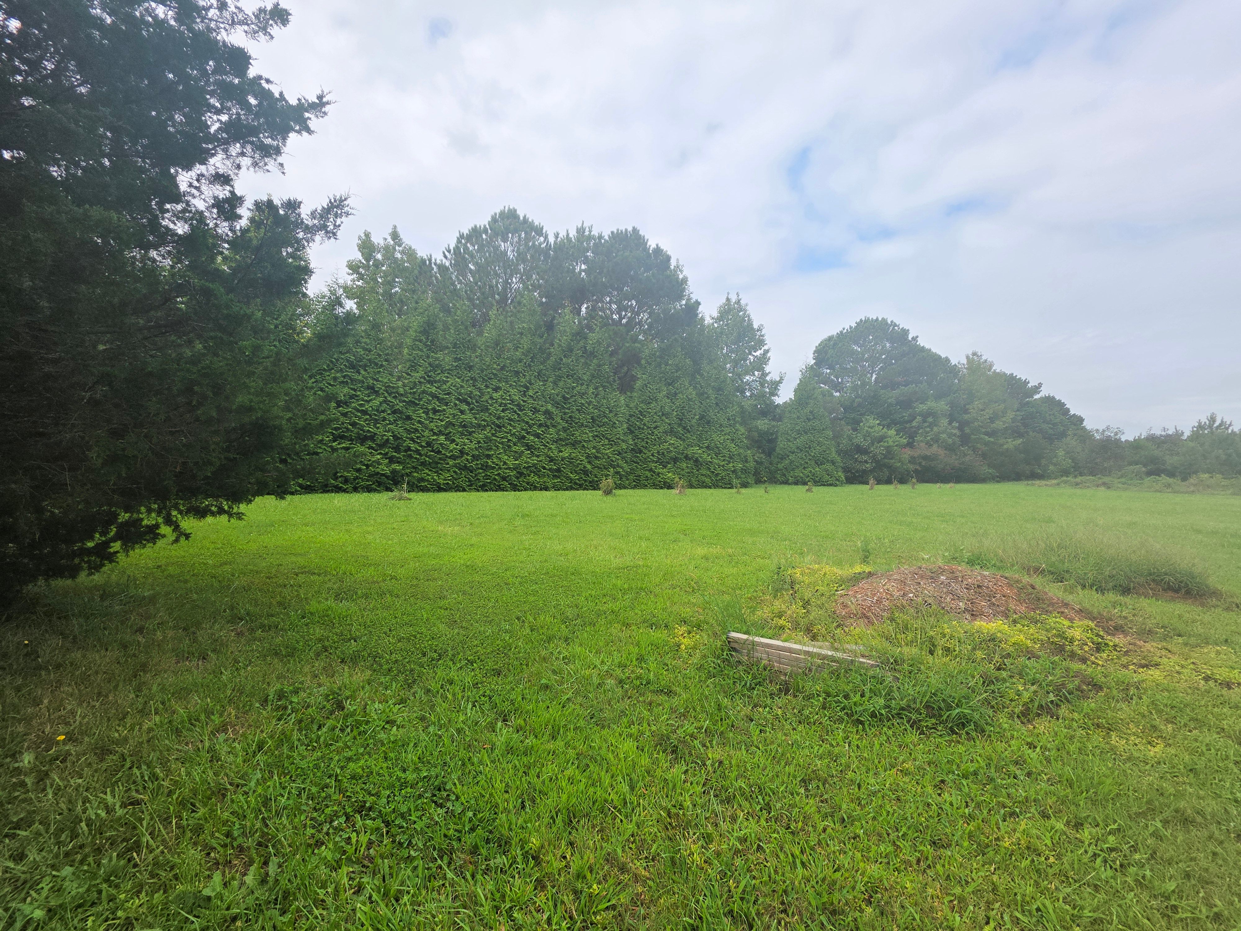  2.995 Plantation (parcel B Ac) Road, Onancock, VA, 23417 - 物件實景