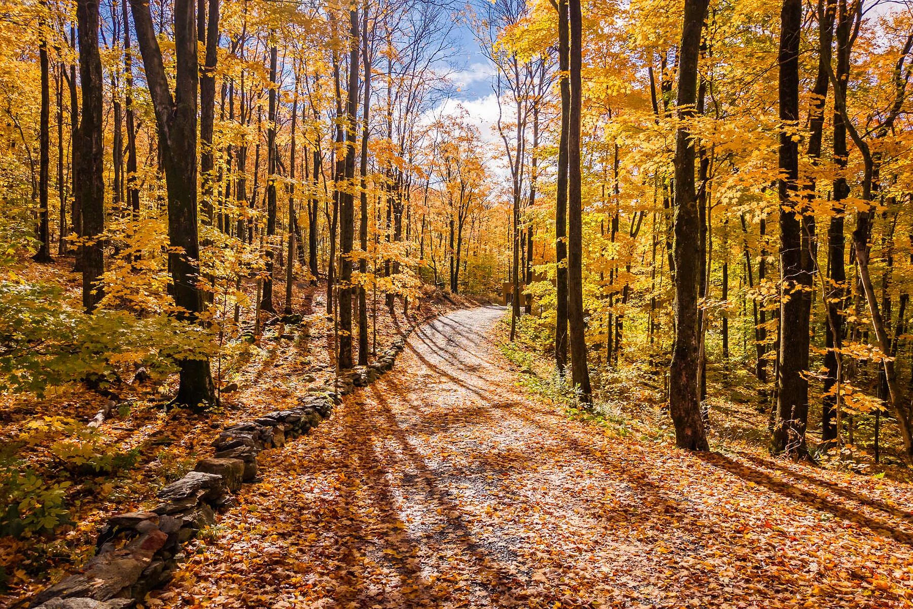 Sutton, Eastern Townships - 物件實景