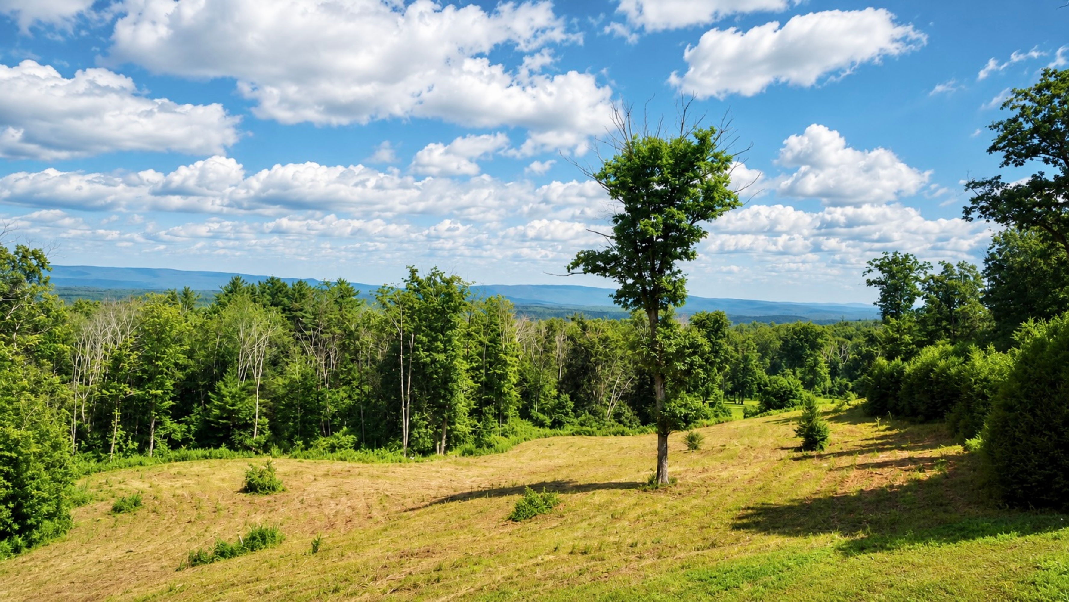  18-Acre Ridgeline Parcel with Unrivaled Berkshire Views & Privacy - 物件實景