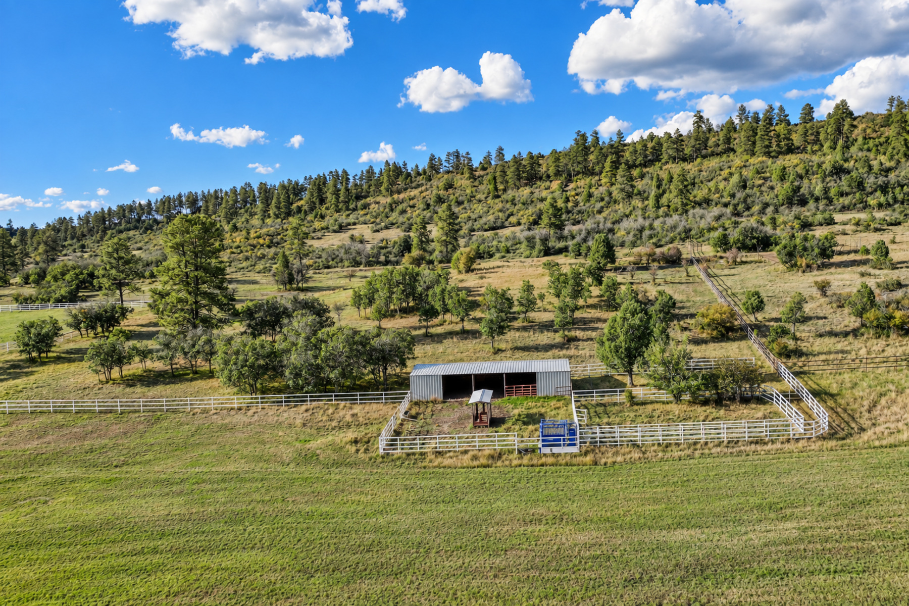  Crooked Spade Ranch - 物件實景