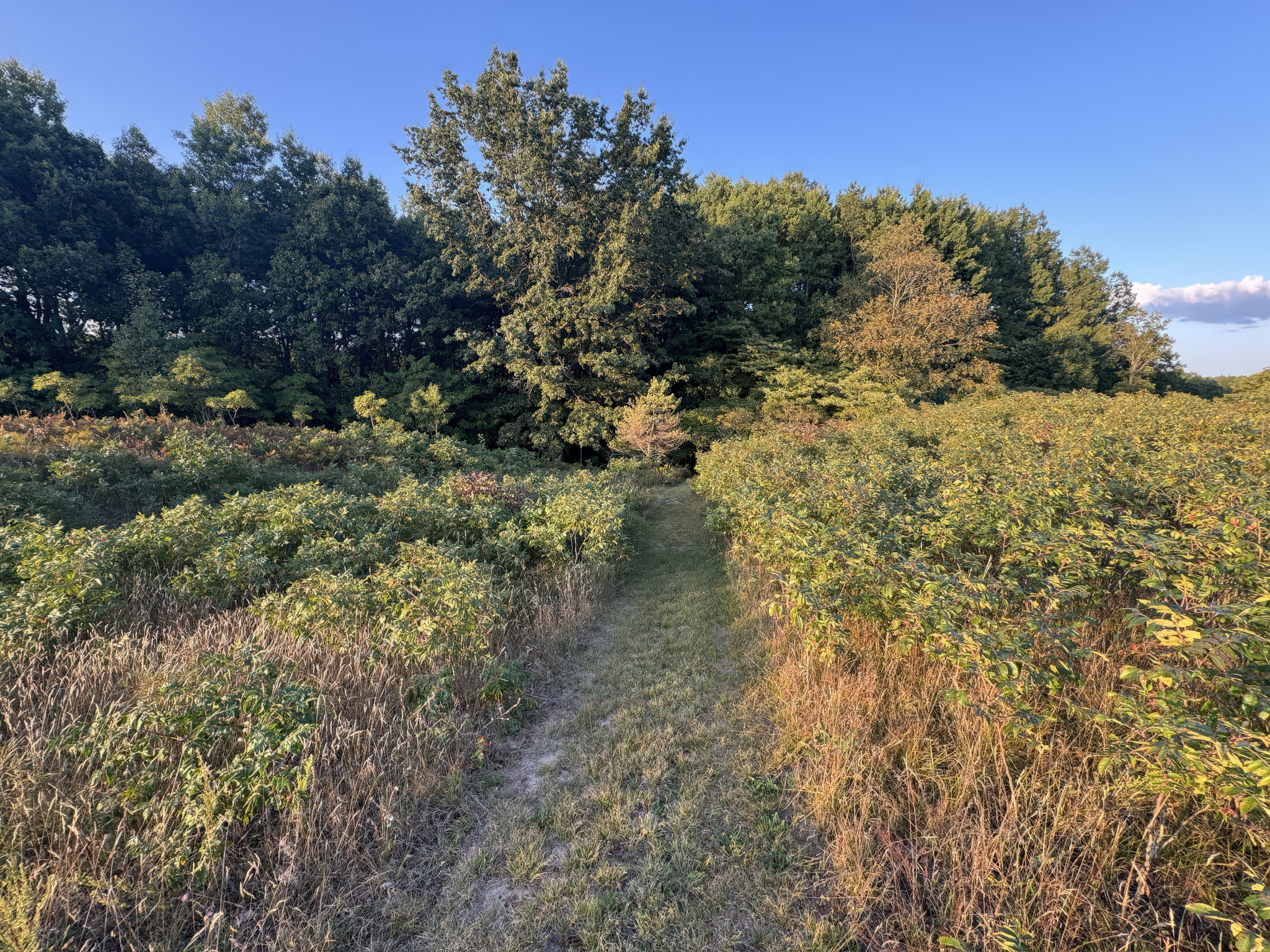 Branch, Michigan, 49402, United States, 1 Bedroom Bedrooms, ,1 BathroomBathrooms,Residential,For Sale,2001233