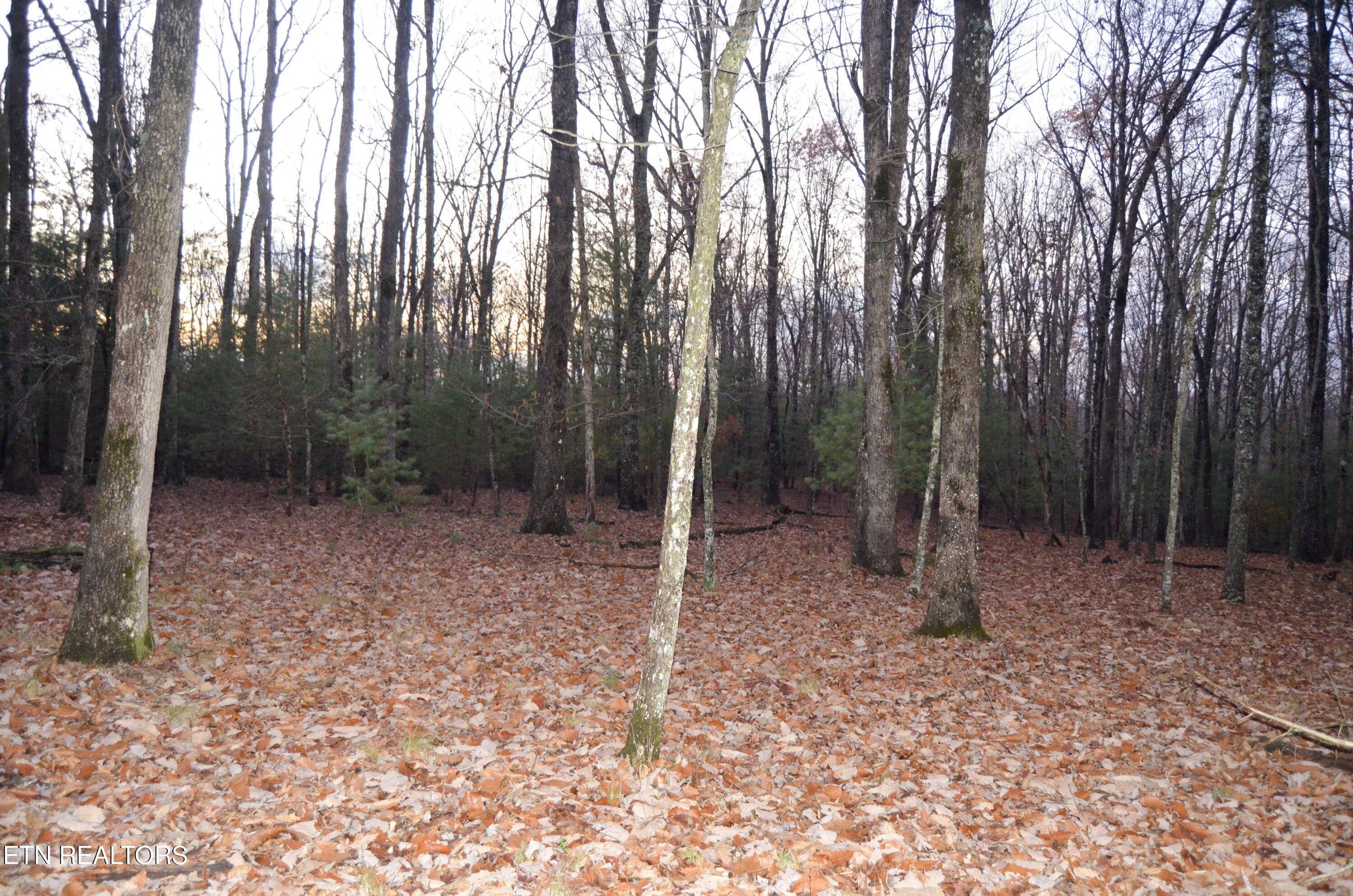 Crossville, Tennessee, 38555, United States, ,Land,For Sale,1978266