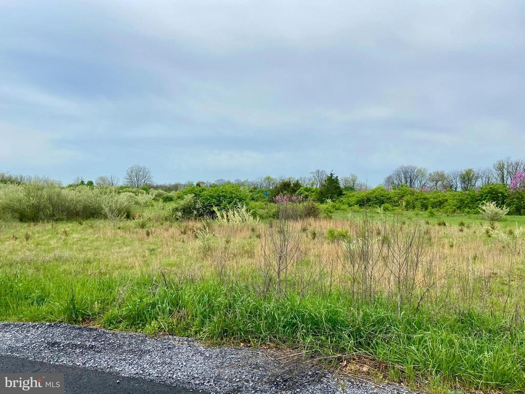 Clear Brook, Virginia, 22624, United States, ,Residential,For Sale,1828146
