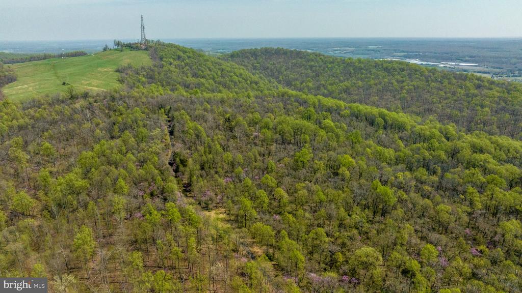 Rapidan, Virginia, 22733, United States, ,Land,For Sale,1975571