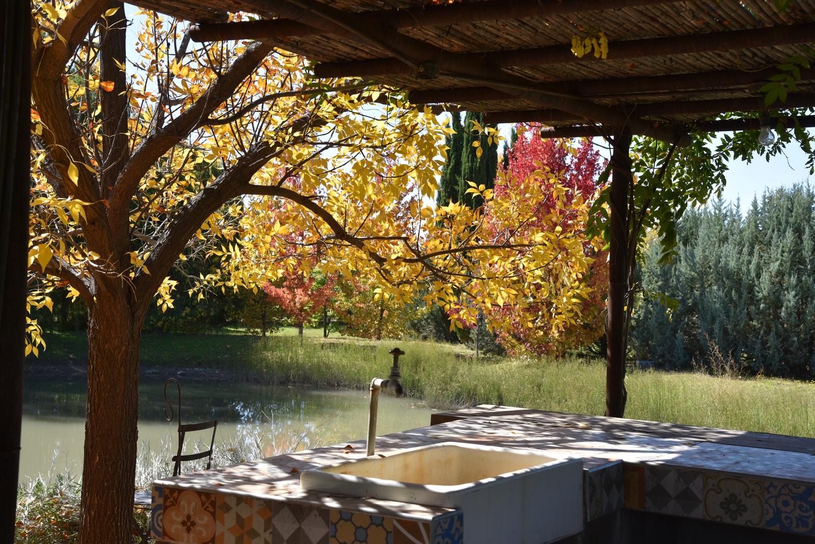 Lujan De Cuyo, AR-M, AR, 5 Bedrooms Bedrooms, ,8 BathroomsBathrooms,Residential,For Sale,1999071