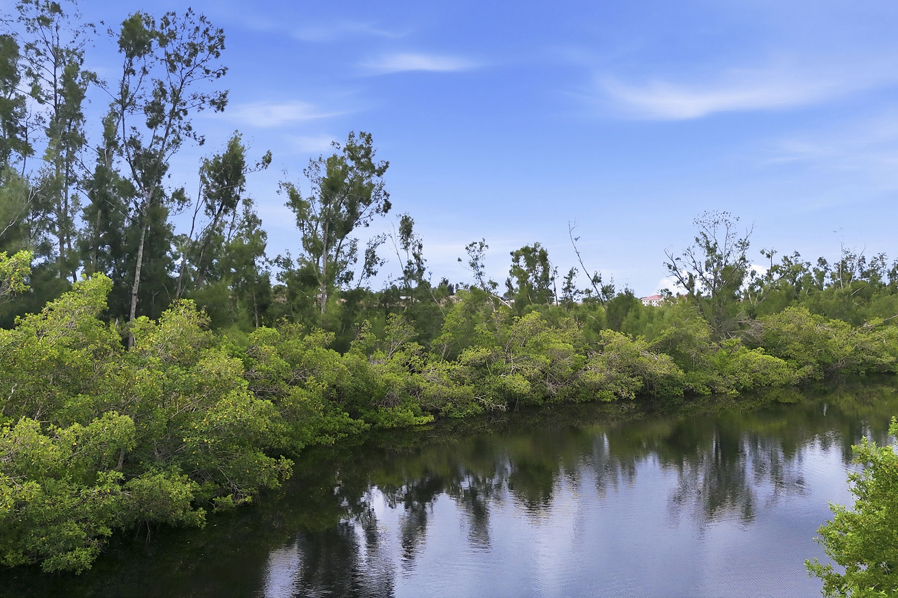  COTTAGES OF CURRY CREEK - 物件實景