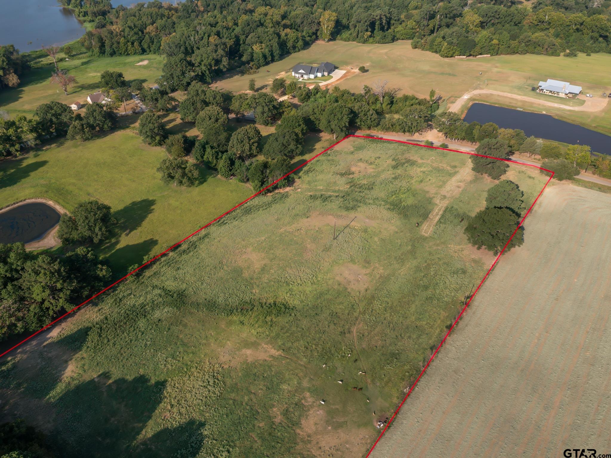 Chandler, Texas, 75758, United States, ,Land,For Sale,1826674