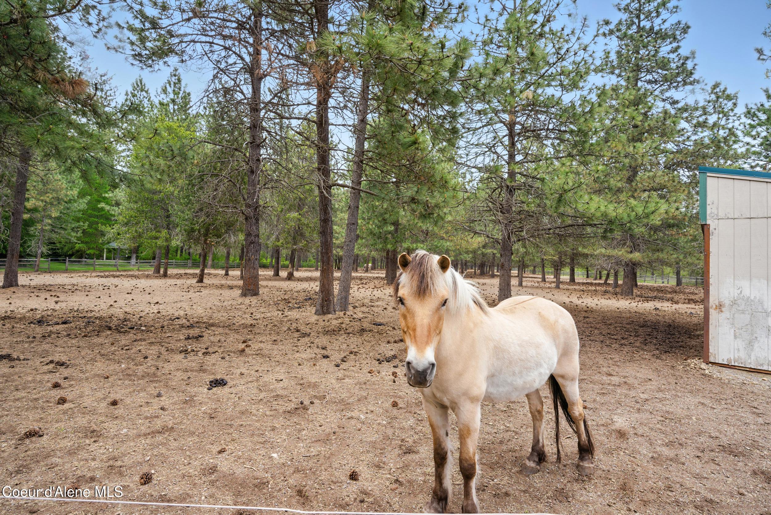 Athol, Idaho, 83801, United States, 6 Bedrooms Bedrooms, ,6 BathroomsBathrooms,Residential,For Sale,1975290