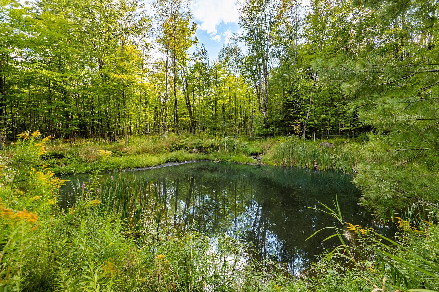  Hatley - Canton, Eastern Townships - 物件實景