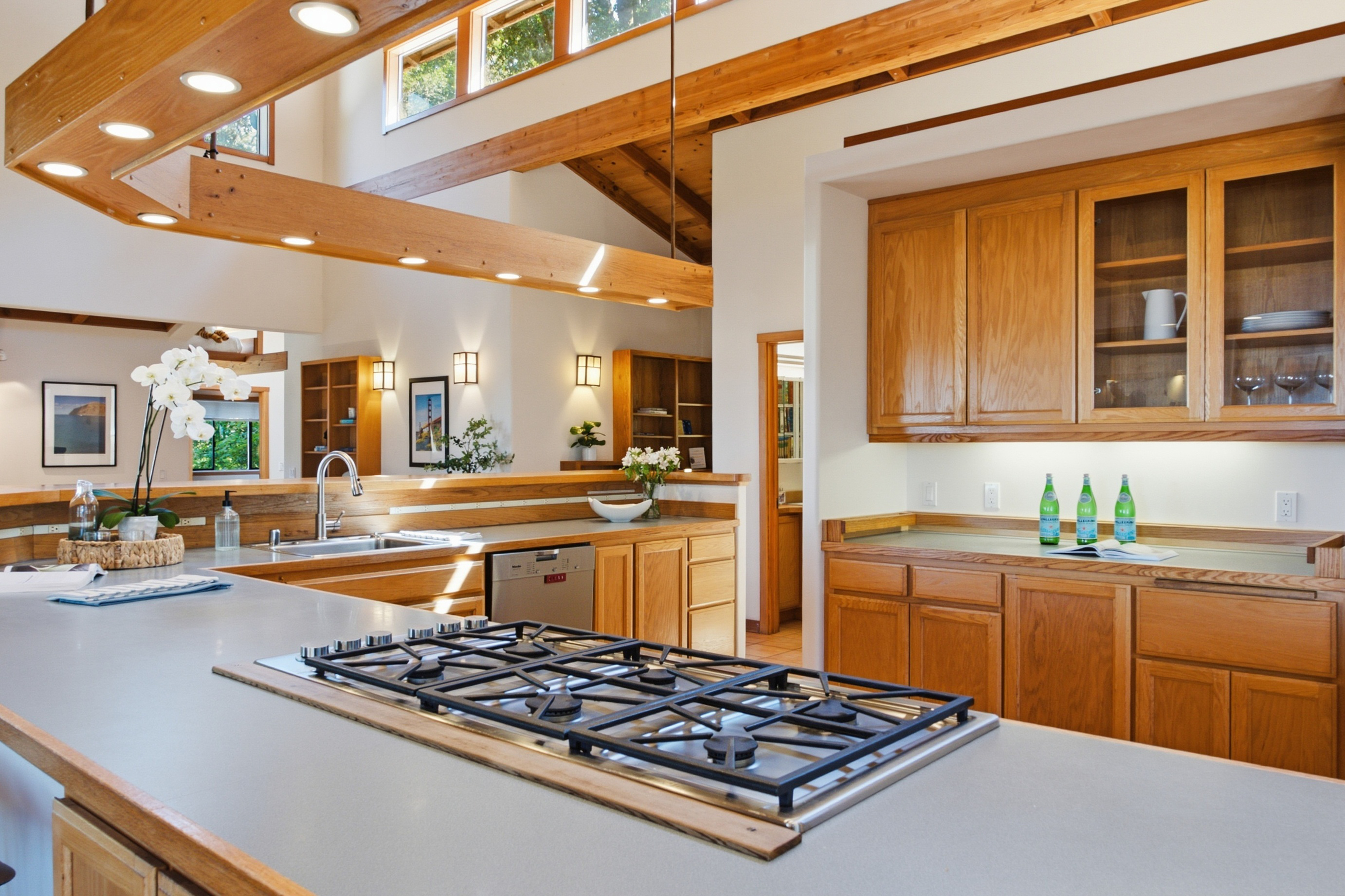  West Marin Legacy Estate - 物件實景