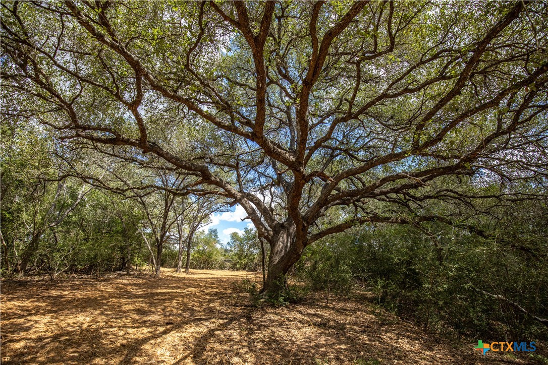 Cuero, Texas, 77954, United States, ,Residential,For Sale,1963995