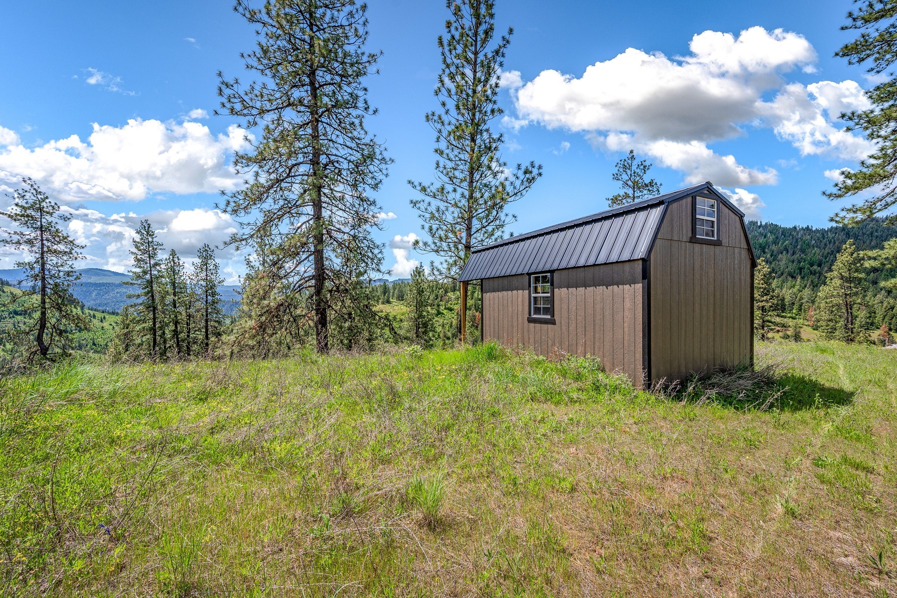 Cabins on 17ac. Surrounded by Lumber Land - 物件實景